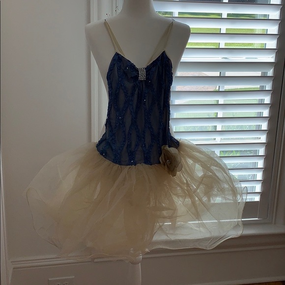 Other - ballet costume